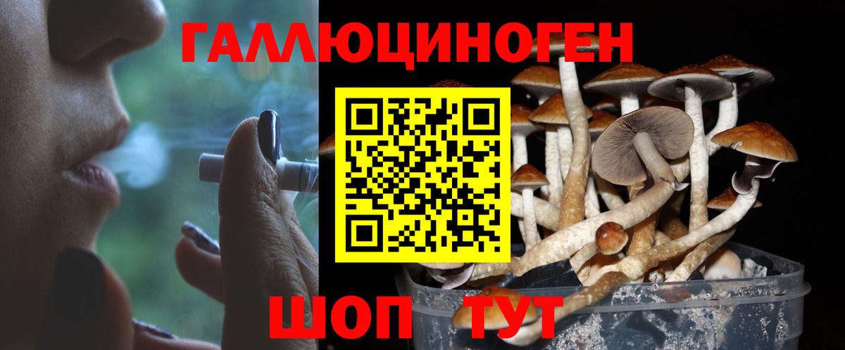 Псилоцибиновые грибы MAGIC MUSHROOMS  Псилоцибиновые грибы ЛСД  Вход с VPN  Нефтекамск 